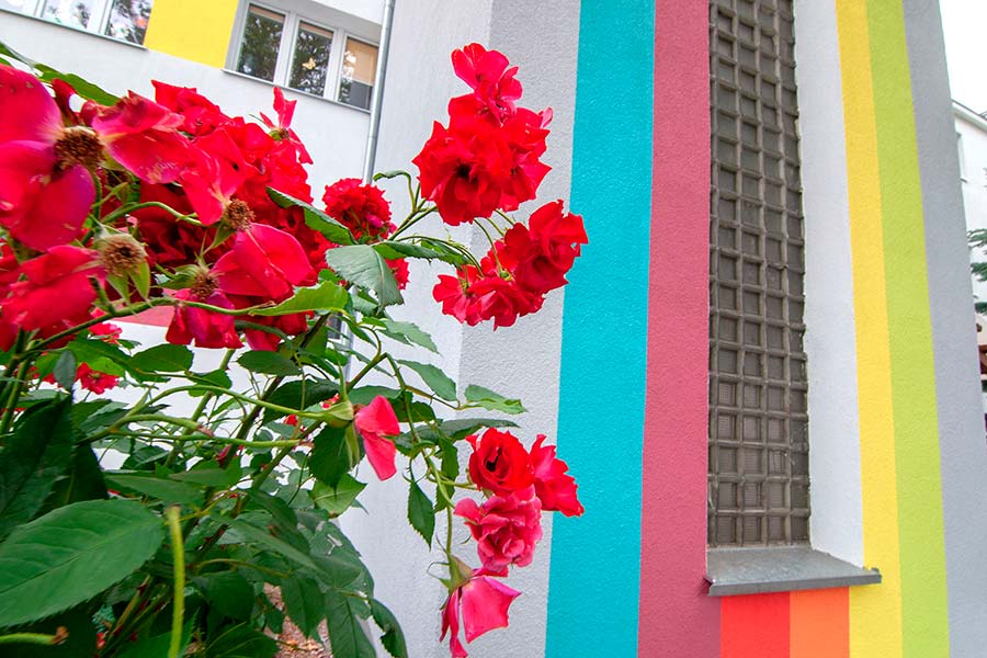 budynek, blok, z kolorowymi elementami elewacji, czerwone kwiaty